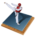 Taekwondo Taekwondo